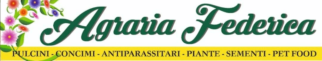 Sementi per prato cecina